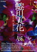蜷川実花 ─ 地上の花、天上の色 ─