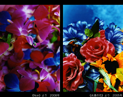 （写真左）《floating yesterday》より　2004年／（写真右）《永遠の花》より　2005年