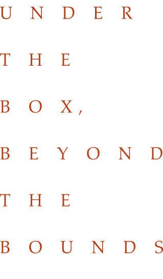 Hiraki Sawa Under the Box, Beyond the Bounds