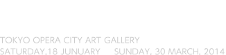 2014年1月18日［土］−3月30日［日］東京オペラシティ アートギャラリー