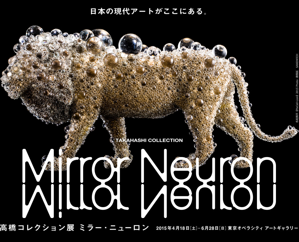 TAKAHASHI COLLECTION Mirror Neuron