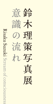 Risaku Suzuki  Stream of consciousness