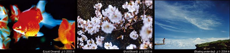 iʐ^jsLiquid Dreamst2003NAiʐ^jsAcid Bloomt2003NAiEʐ^jsfloating yesterdayt2004N