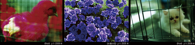 iʐ^jsNoirt2008NAiʐ^jsỉԁtAiEʐ^jsNoirt2008N